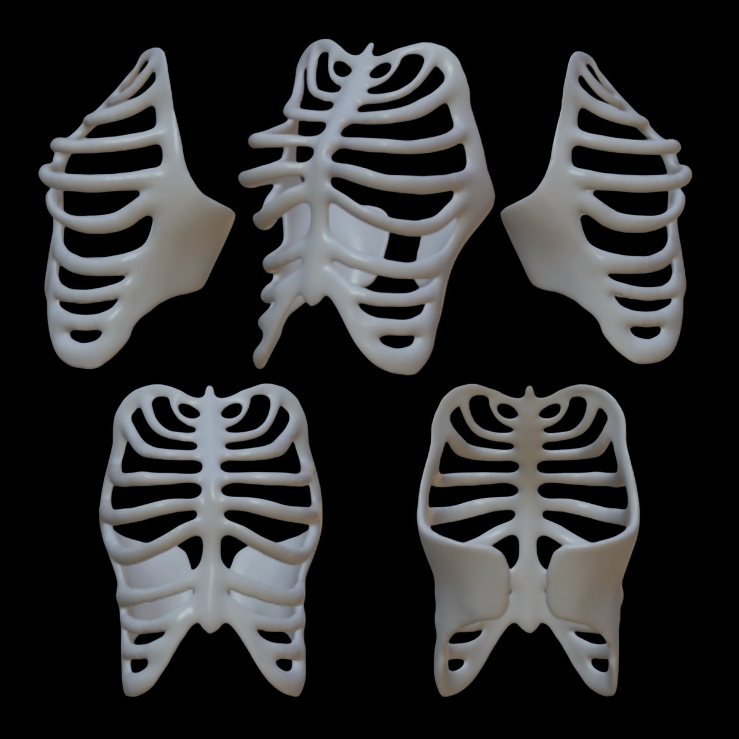 Ribcage Style #1