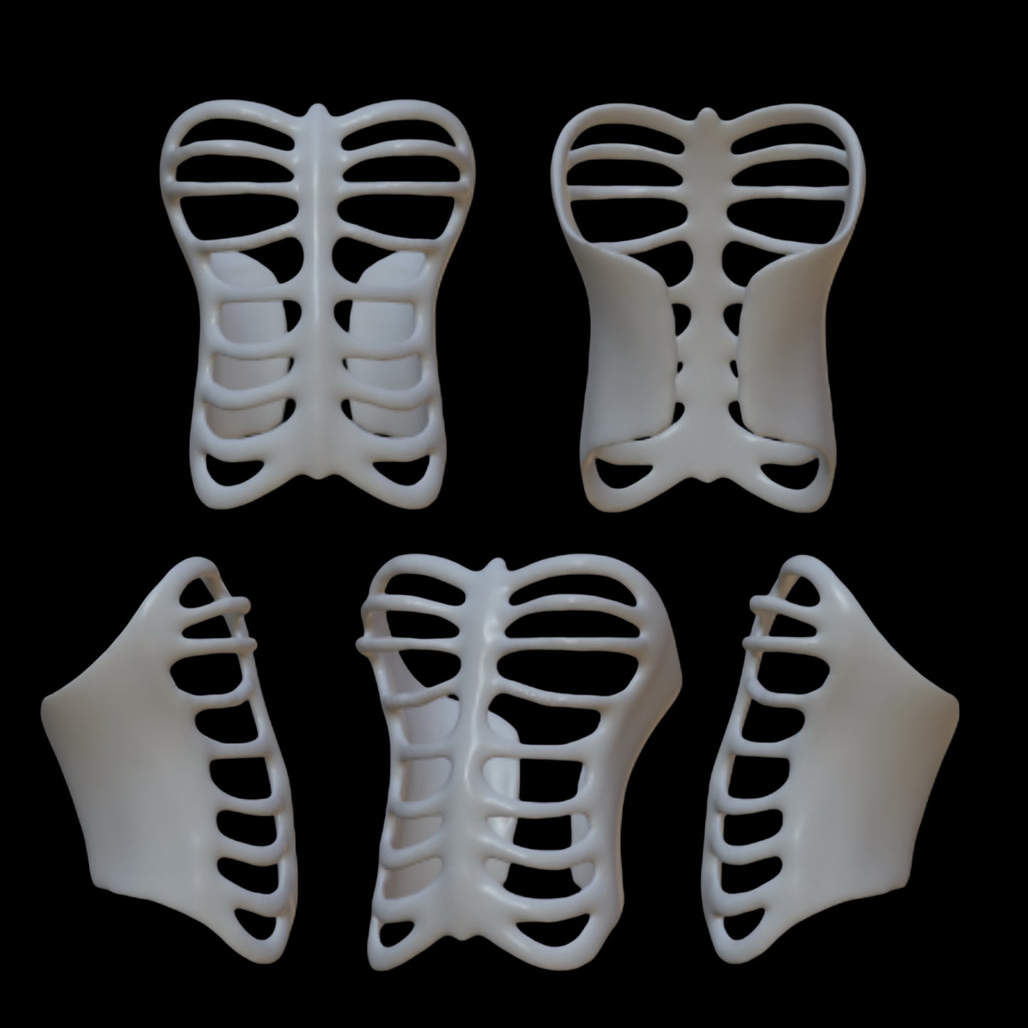 Ribcage Style #4