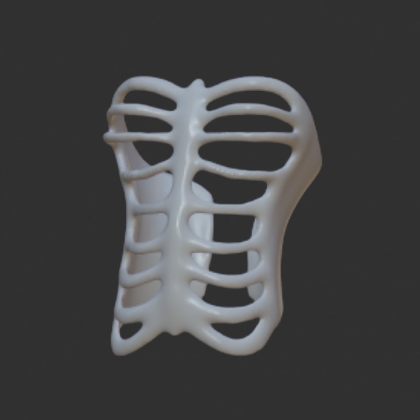 G1 Ribcage #2