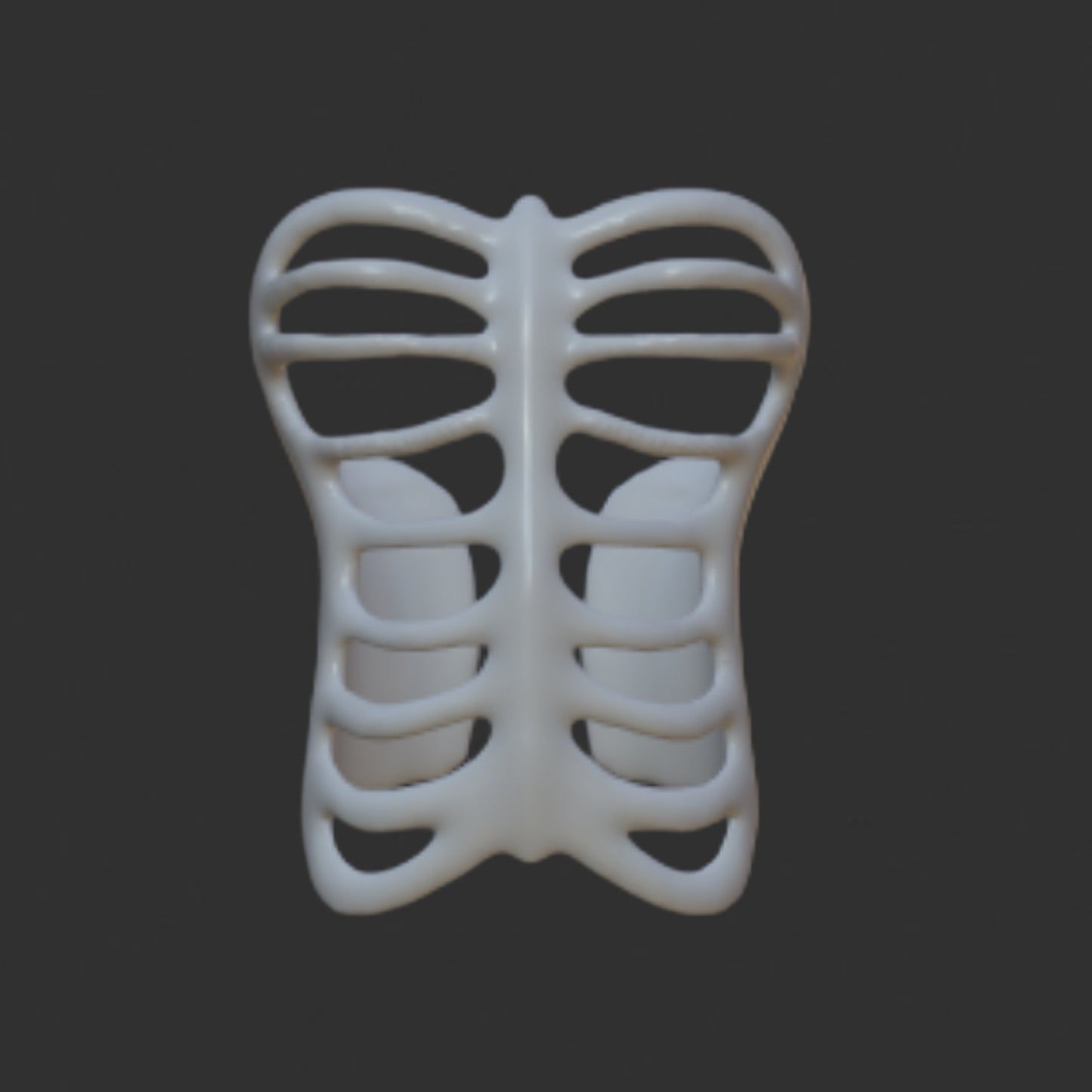 G1 Ribcage #2